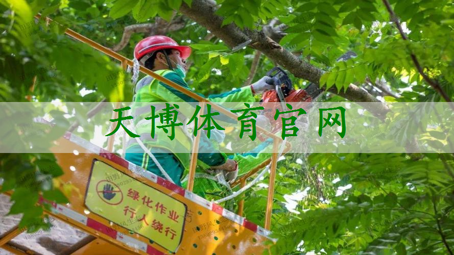 吉林绿化市政工程经营范围包括哪些