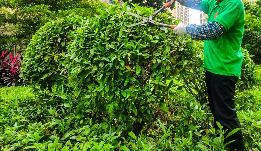 如何通过园林绿化增加城市居民的户外活动空间？