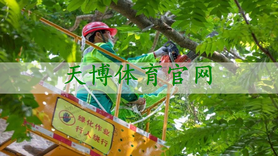 别墅靠山园林景观设计